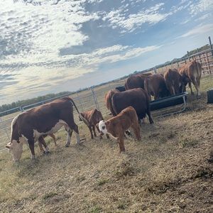 Meet your Posher, Alejandro